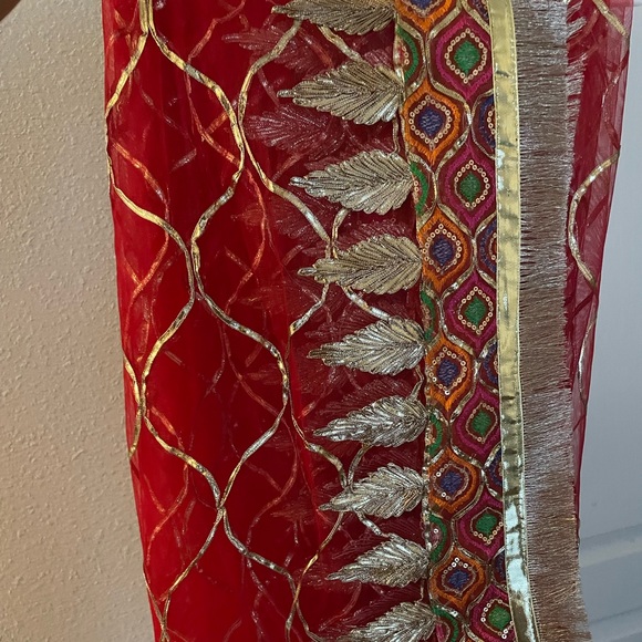 Pakistani lehnga choli with two types of tops! - Picture 5 of 5
